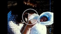 1970 Nyfödd flicka