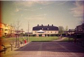 IMG_0008 (3)