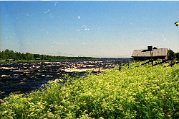 IMG_0002 (3)