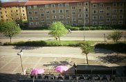 IMG_0065