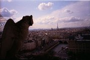 IMG_0045