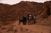 petra3