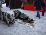 DSCN2652