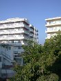 DSCN3425