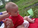 DSCN3131