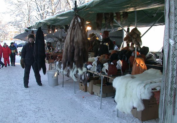 Kristoffers bilder från Jokkmokk