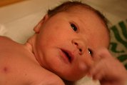IMG_1978