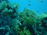 DSC00507