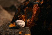 IMG_3743