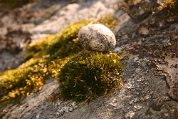 IMG_3666