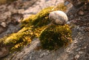 IMG_3667