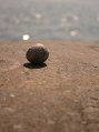 IMG_3651