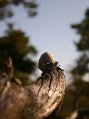 IMG_3841