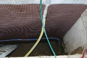 IMG_4145