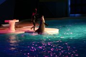 IMG_5009