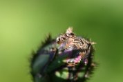 IMG_5149