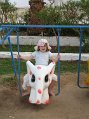 IMG_1904