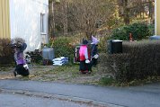 IMG_6960