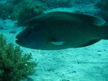 IMG_2858