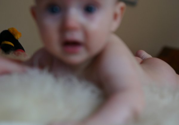 2009_02_10