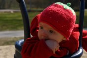 IMG_8343