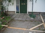 IMG_3290