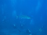 IMG_3661