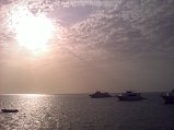 20090605046