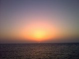 20090608049