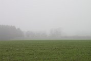 IMG_2553