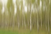 IMG_2568
