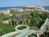 IMG_5181