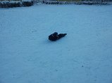 20121202_103448