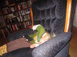 IMG_0151