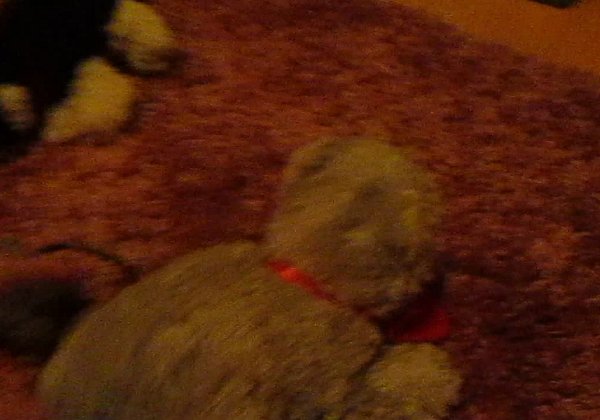 2012_01_09