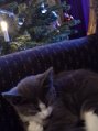 20131226_092743