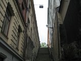 IMG_5344