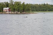 IMG_6282