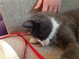 IMG_0616