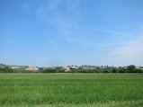 IMG_3859