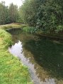 IMG_0465