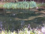 IMG_0466