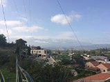IMG_0896