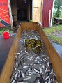 IMG_2014