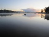 IMG_0653