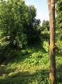 IMG_1368