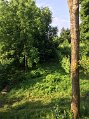 IMG_1369