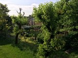 IMG_1371