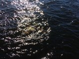 IMG_1752