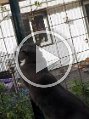 20160606_185236